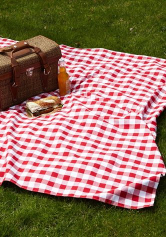 picnic blanket perfect checkered backyard clipart must classic summer grass modcloth toalha para fun blankets throwing haves clip gingham plan