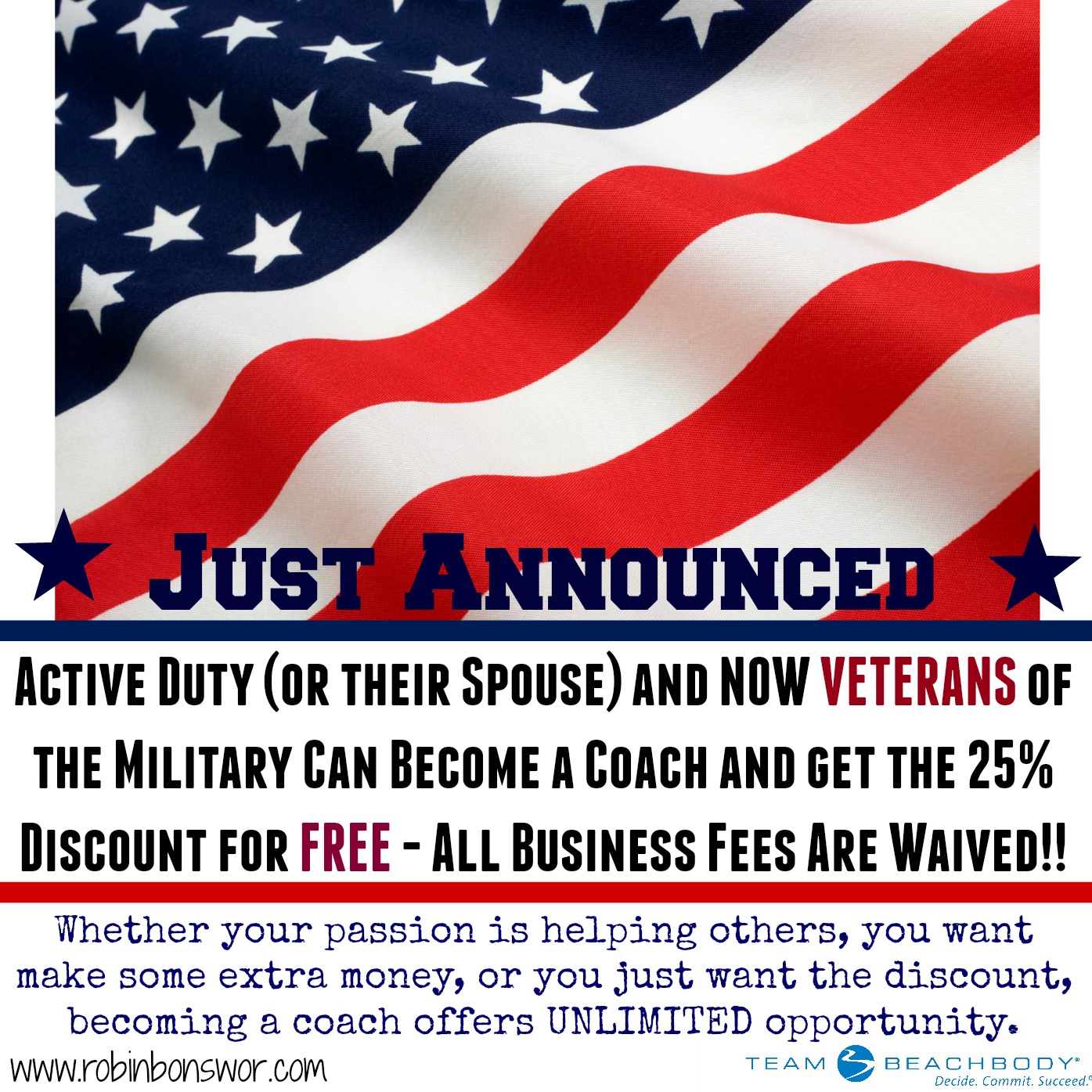 Veterans day celebration flyer