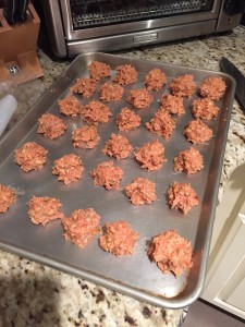 21 Day Fix Turkey Meatballs - raw