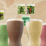 shakeology